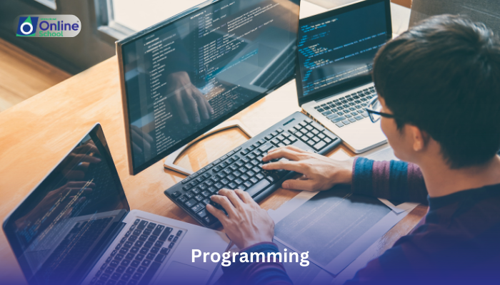 Lesson 01: Introduction to Programming